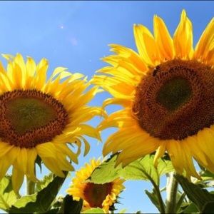 Meet your Posher, April